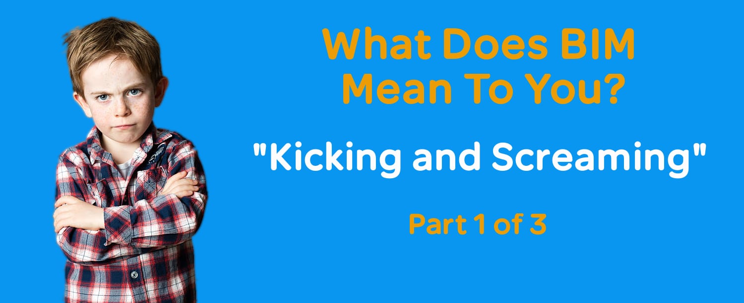 What does bim mean to you - kicking and screaming